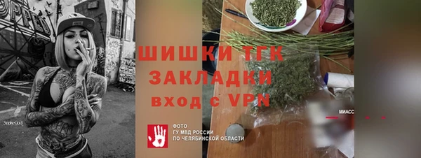 ГАЛЛЮЦИНОГЕННЫЕ ГРИБЫ Новозыбков