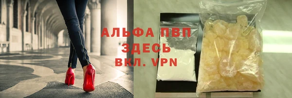 гашик Новодвинск