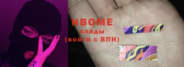 ГАЛЛЮЦИНОГЕННЫЕ ГРИБЫ Новозыбков