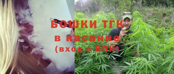 гашик Новодвинск