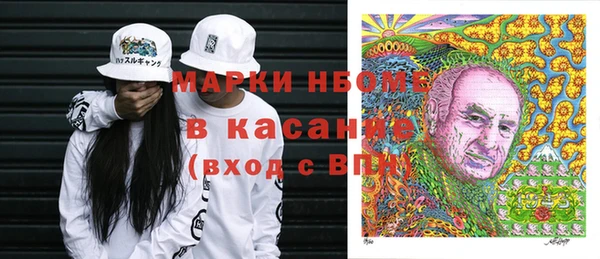 ГАЛЛЮЦИНОГЕННЫЕ ГРИБЫ Новозыбков