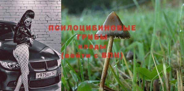 амфетамин Новокубанск