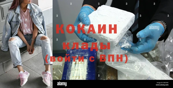 ГАЛЛЮЦИНОГЕННЫЕ ГРИБЫ Новозыбков
