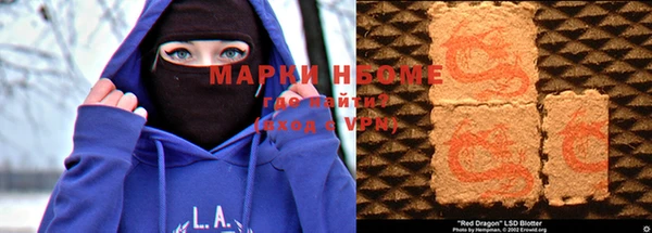 индика Болхов