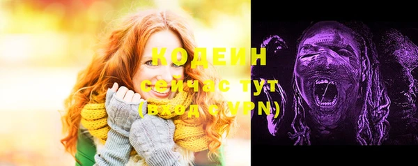 гашик Новодвинск