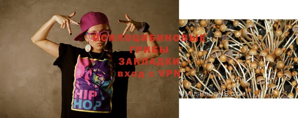 прущая мука Нея