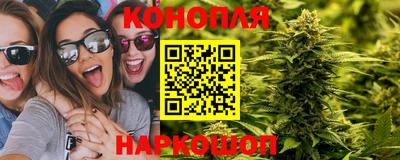 прущие грибы Апшеронск