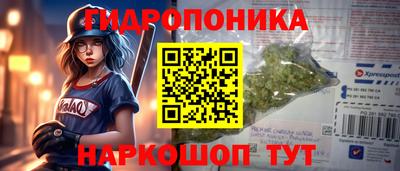 тгк Аргун
