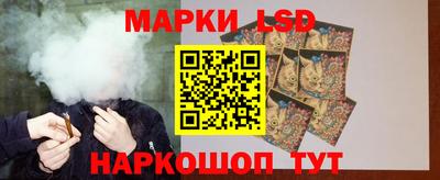 прущие грибы Апшеронск