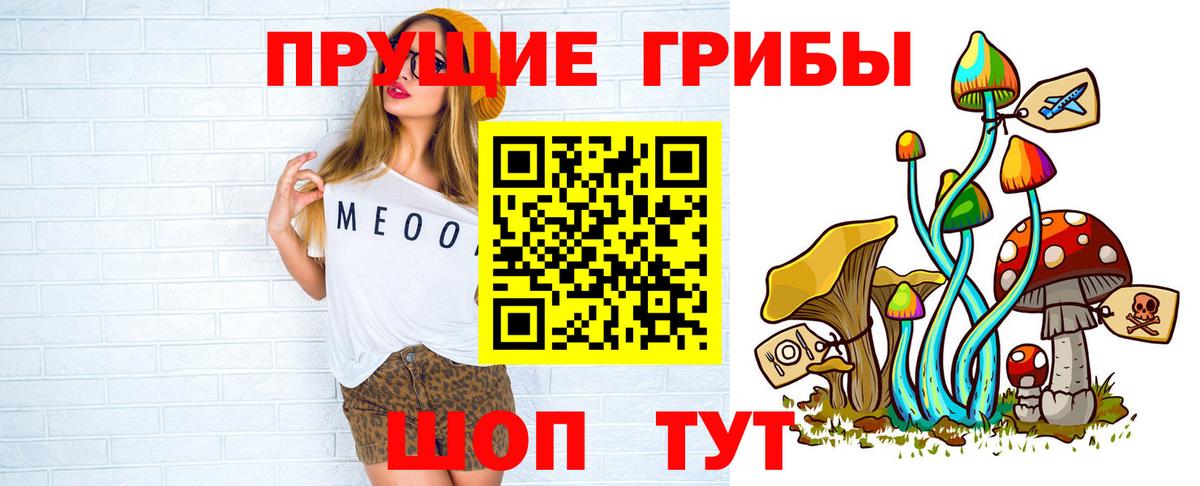 Псилоцибиновые грибы мицелий Мичуринск