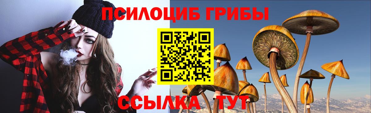 Мичуринск  Галлюциногенные грибы прущие грибы  Псилоцибиновые грибы Cubensis  Вход с VPN 