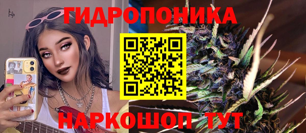 Мичуринск  Шишки марихуана тримм  Вход с VPN  Шишки марихуана ГИДРОПОН 